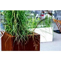 Bloembak plantenbak vierkant cortenstaal 100x100cm